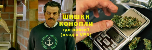ГАЛЛЮЦИНОГЕННЫЕ ГРИБЫ Яранск