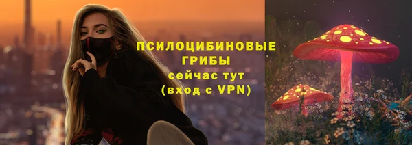 герыч Дмитриев