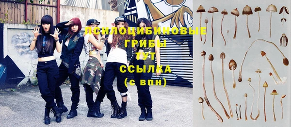 соль курить ск Дмитровск