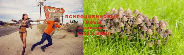 герыч Дмитриев